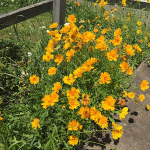 Meet your Posher, Caity